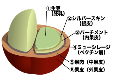 b0136223_19012260.png