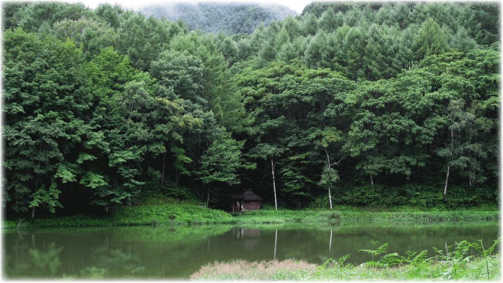 c0107829_18433821.gif