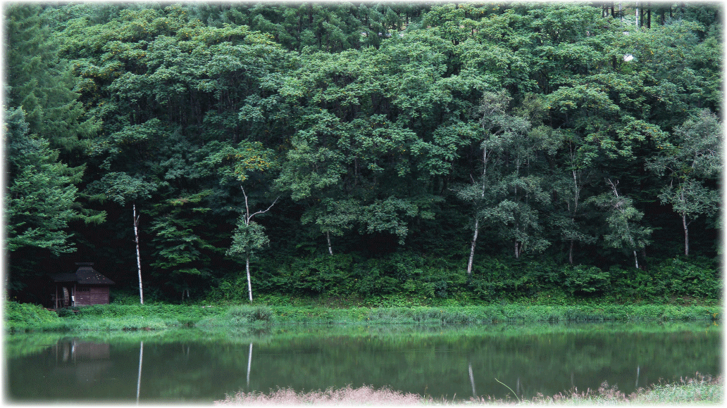 c0107829_18435281.gif