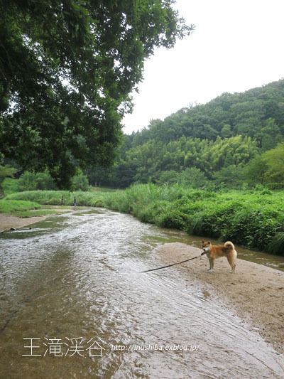 王滝渓谷 で川遊び 愛知県豊田市 動画あり Yamatoのひとりごと