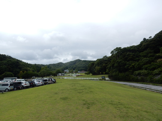 ’17,8,18(金)BBHへ1時間半のお散歩!_f0060461_05434036.jpg