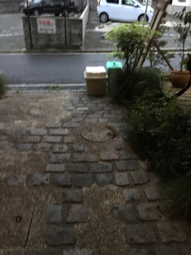 b0161162_07011042.jpg