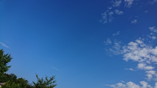 d0362666_16395192.jpg