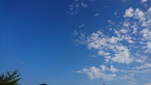 d0362666_17481573.jpg