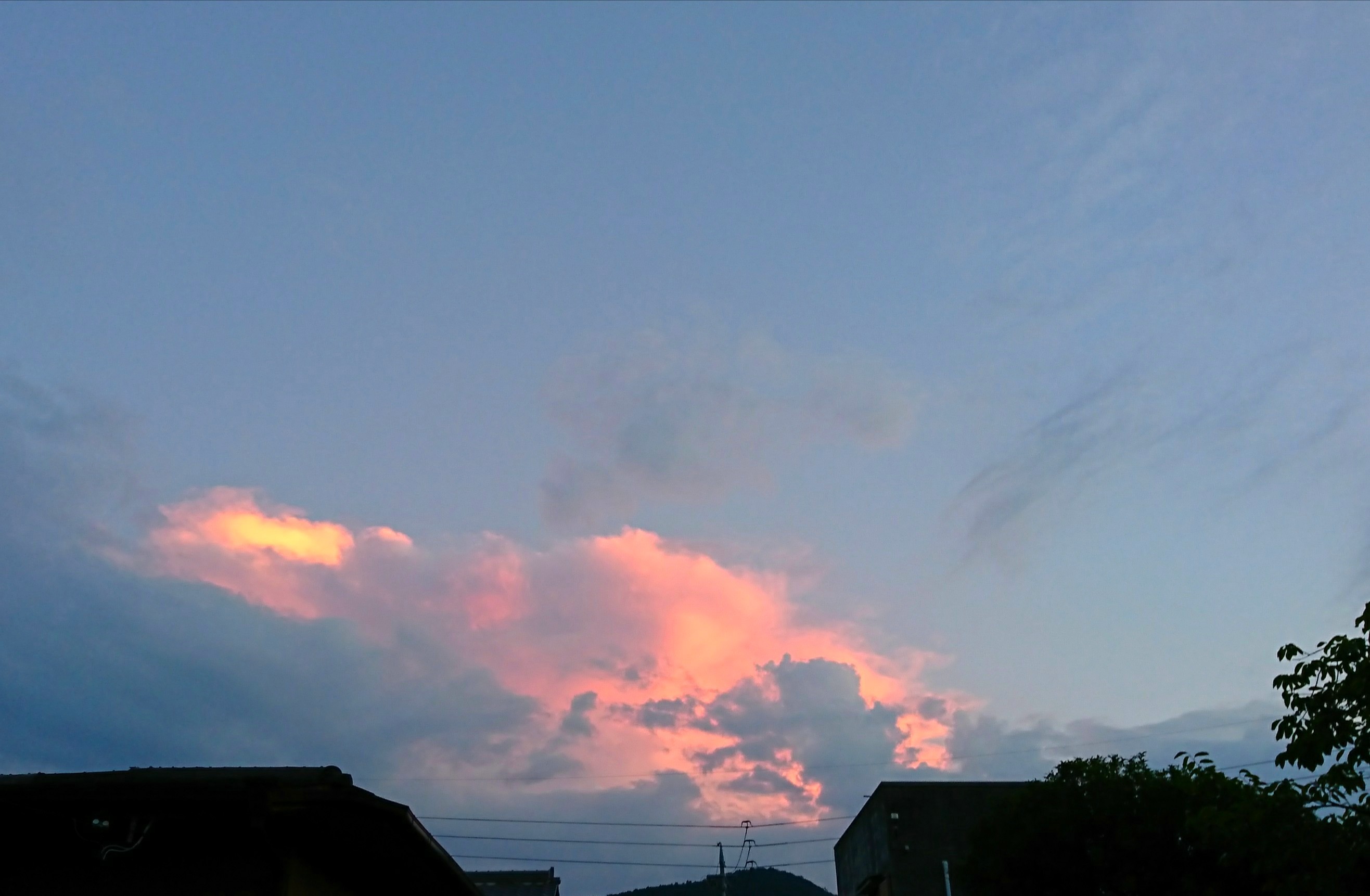 d0362666_20100122.jpg
