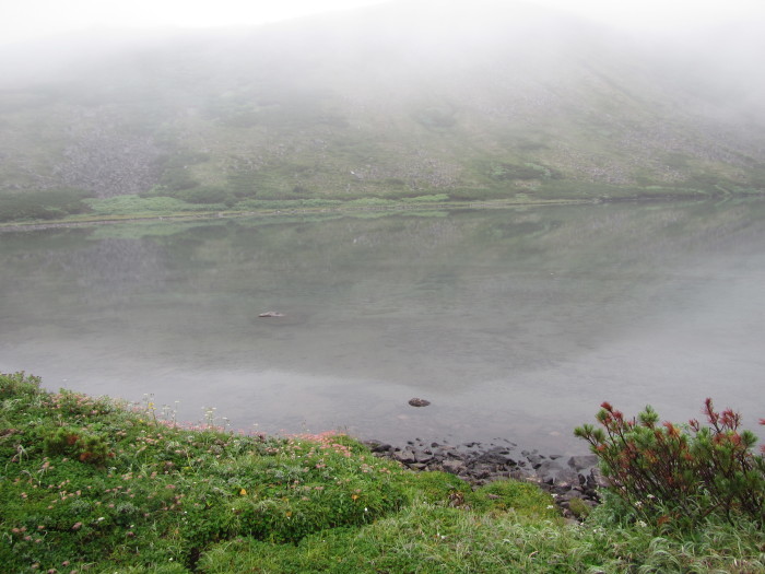 f0223068_13165904.jpg