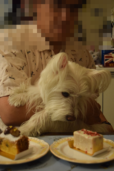 b0242873_12494848.png
