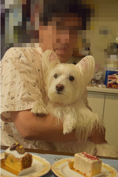 b0242873_12504357.png