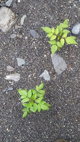 f0228680_09105017.jpg