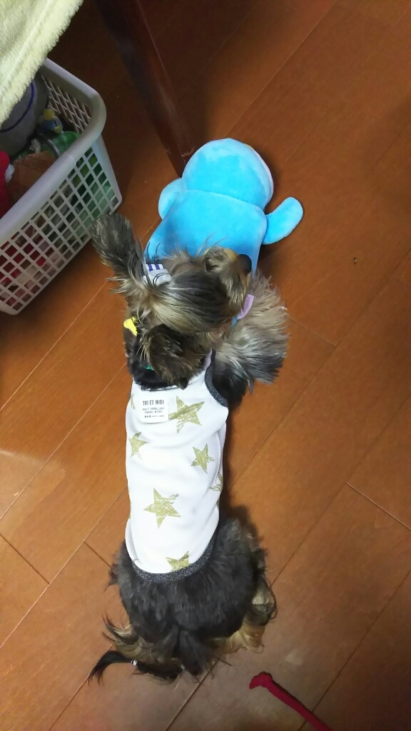 c0191390_20505004.jpg