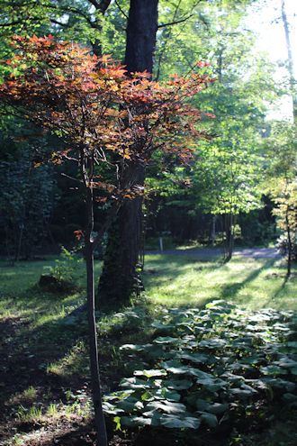 c0090198_18461484.jpg