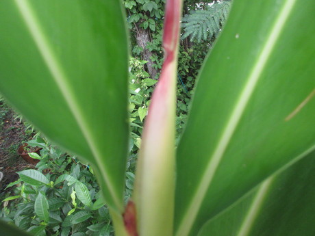 a0203003_1955249.jpg