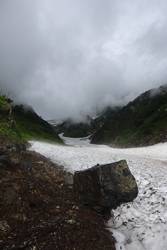 d0032405_23012482.jpg