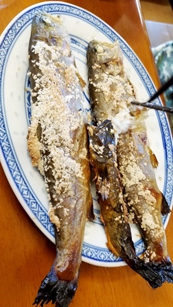 a0128408_10315961.jpg