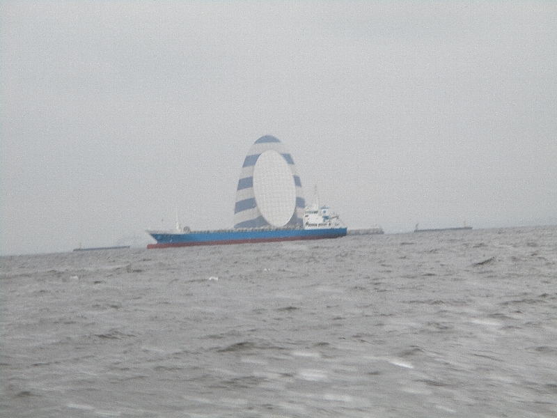 a0138609_20191476.jpg