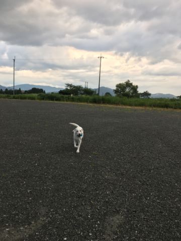c0114121_026562.jpg