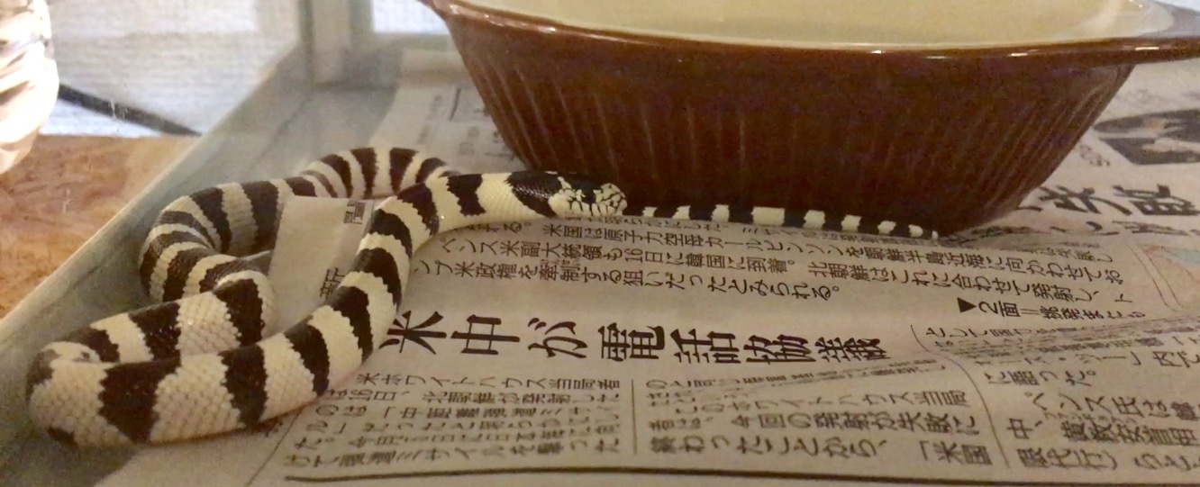 d0357222_13180660.png