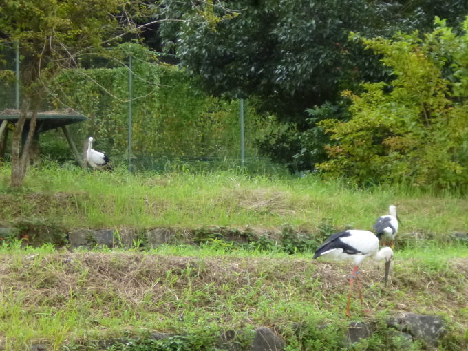 城崎温泉旅行（１日目）_a0285330_23234997.jpg