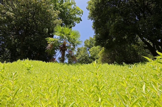 a0242438_18184095.jpg