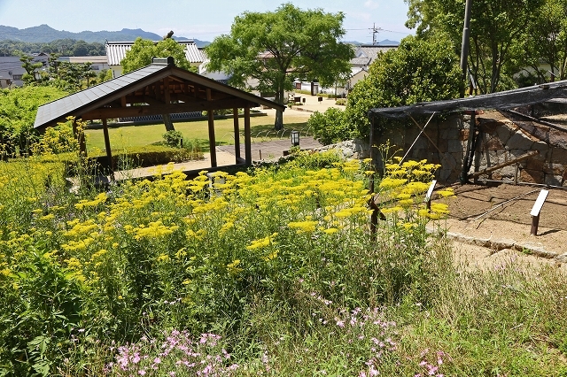 a0242438_18184140.jpg