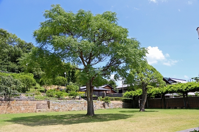 a0242438_18194258.jpg