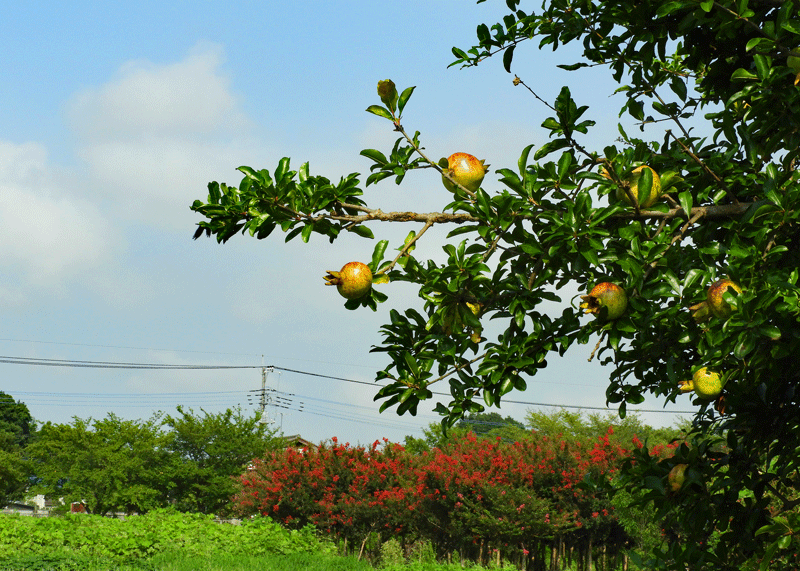 d0290240_16590076.gif