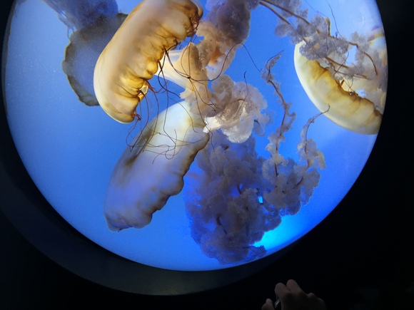 c0076141_14323016.jpg