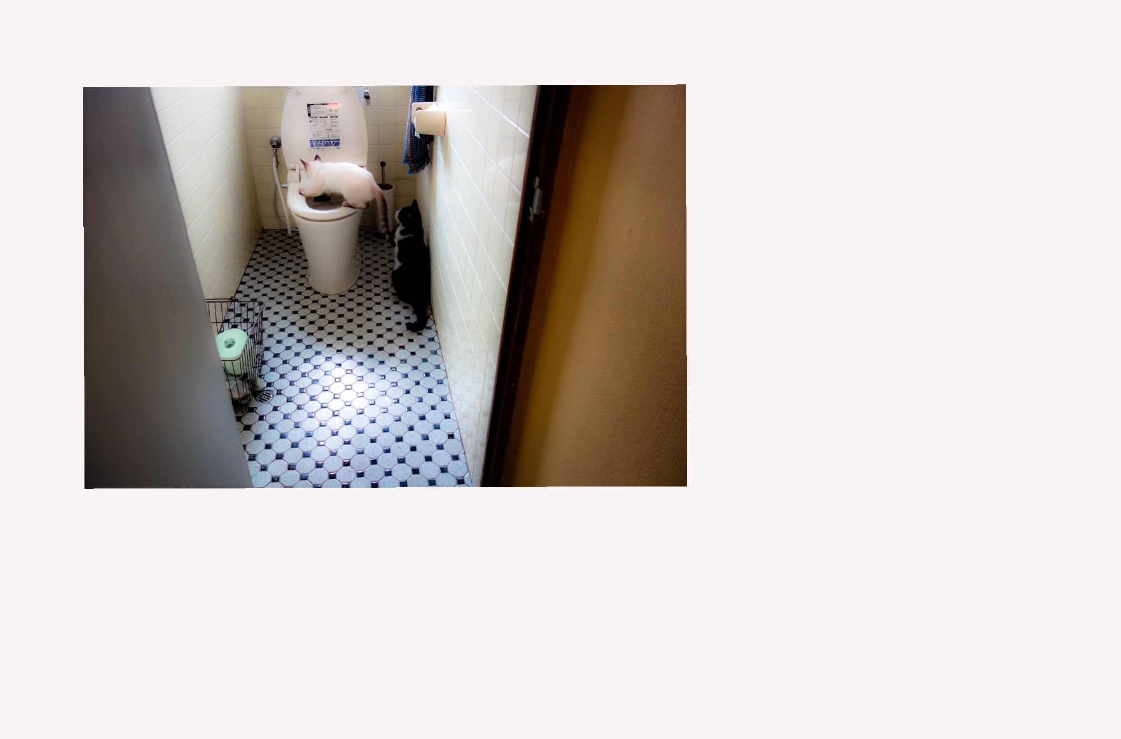 d0101846_06415570.png