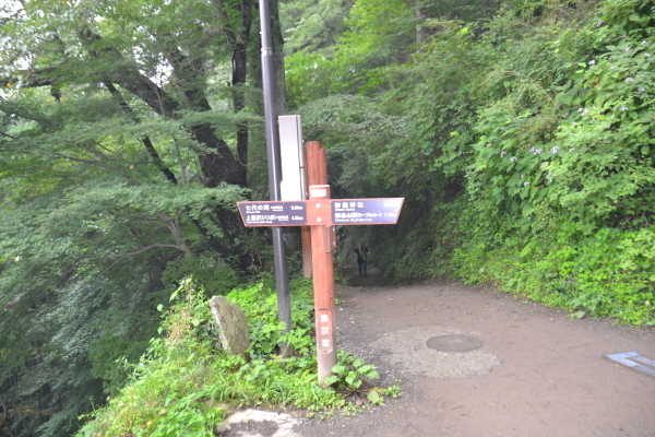 d0320746_23104206.jpg