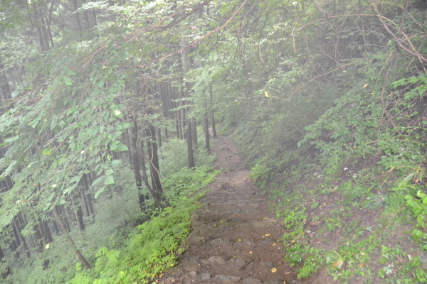 d0320746_23114520.jpg