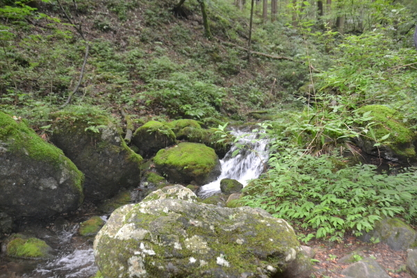 d0320746_23472468.jpg