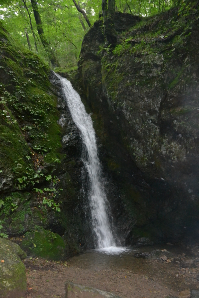 d0320746_23571341.jpg