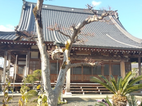 福知山市長田地区の寺院・神社_a0003356_18431914.jpg