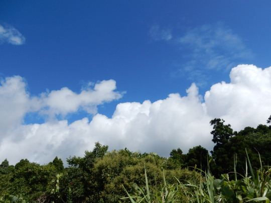 f0060461_09234779.jpg