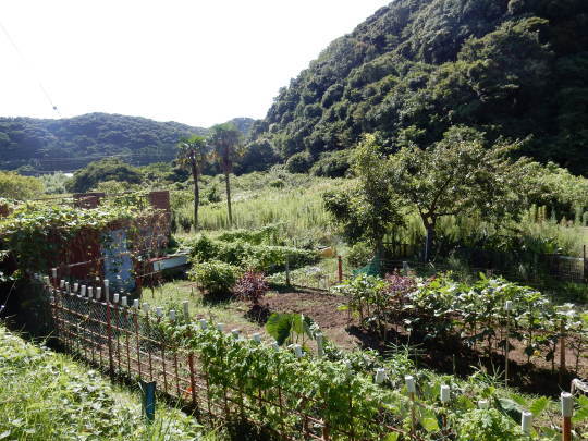 f0060461_09255625.jpg