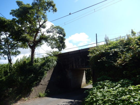 f0060461_09282694.jpg