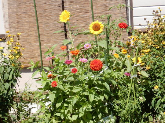 f0060461_09302981.jpg