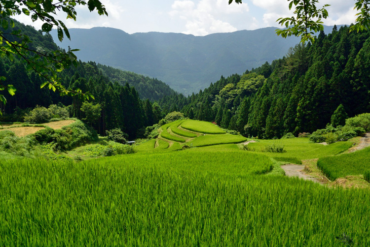 夏休み_d0231263_212909.jpg