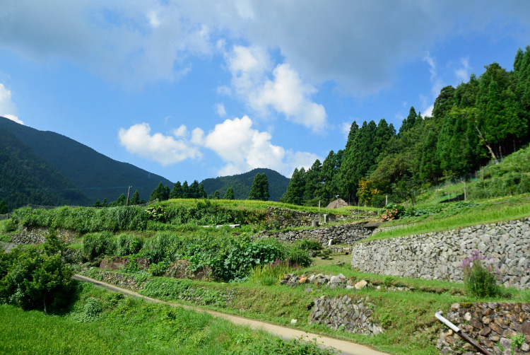 夏休み_d0231263_21295928.jpg