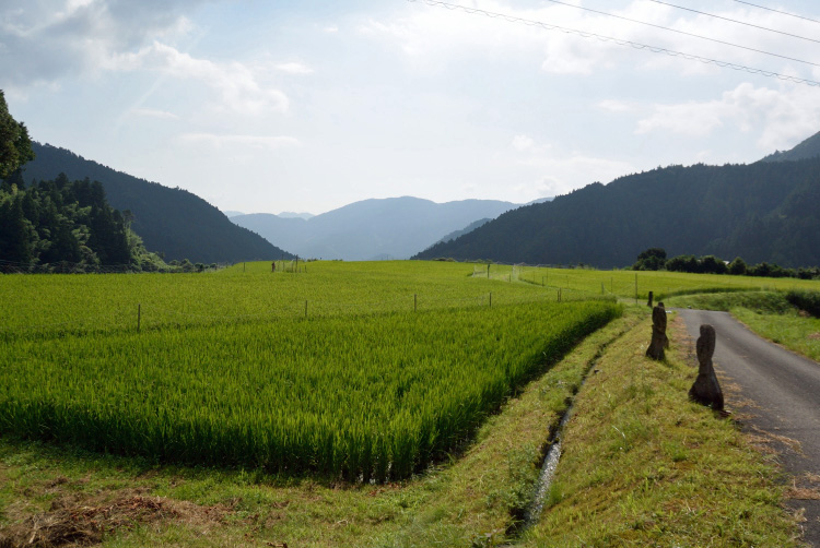 夏休み_d0231263_21302624.jpg
