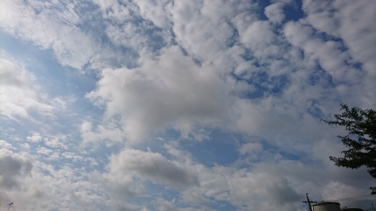 d0362666_08260025.jpg