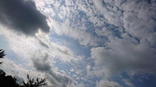 d0362666_08264415.jpg