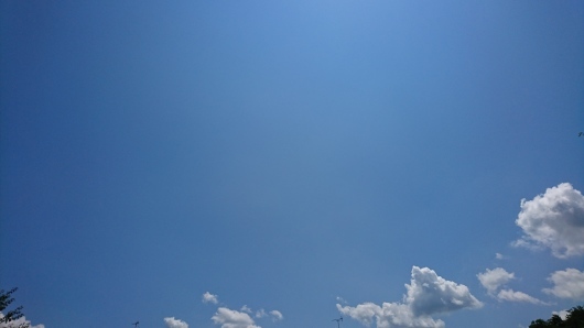 d0362666_11565203.jpg