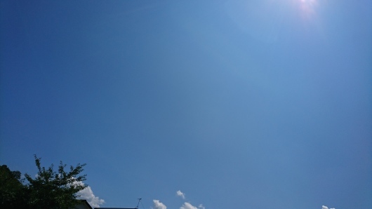 d0362666_11570980.jpg