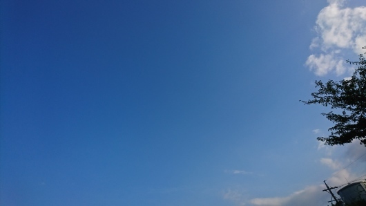 d0362666_17211472.jpg