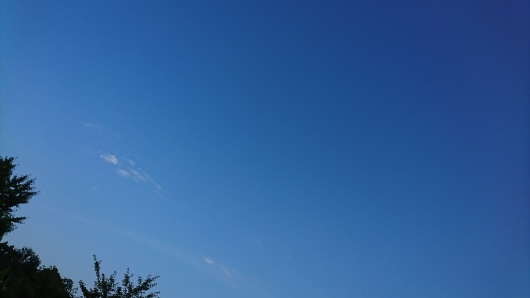 d0362666_17220561.jpg