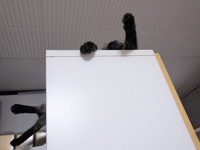 c0105569_00223856.jpg