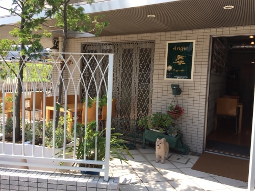 c0220172_18122322.jpeg