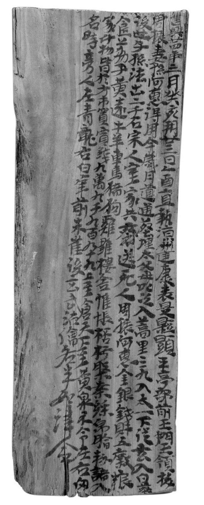 e0013972_07233239.jpg