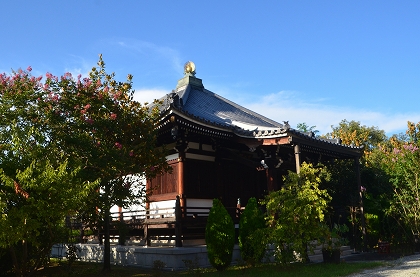 富田林市  　願昭寺　①_c0229483_963648.jpg